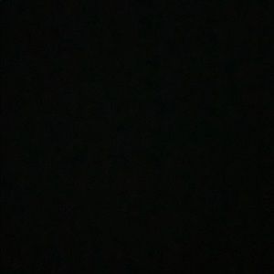 Meet your Posher, Jake